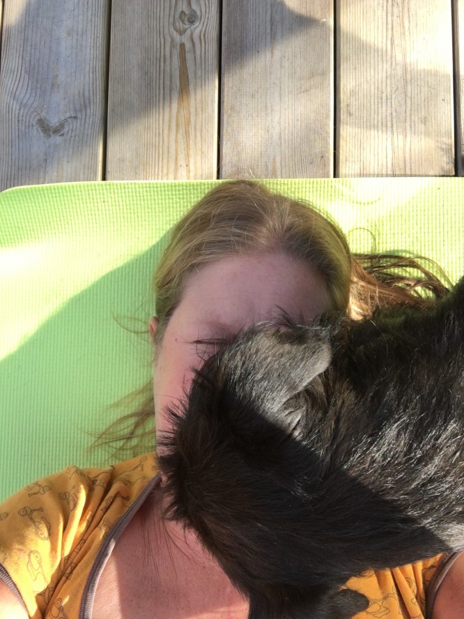 Tränade (och fick hjälp/stjälp av hundarna) i solen på altanen