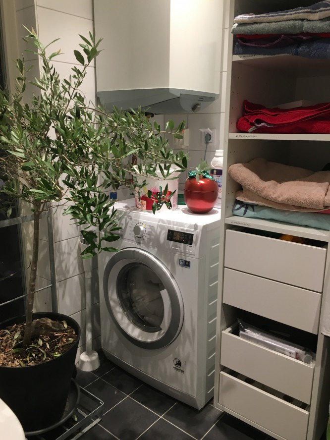 Tvätt/tork-maskinen och linneskåpet. (Ber om ursäkt för olivträdet som tar plats under sin vinterförvaring)
